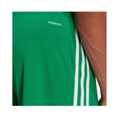Adidas Nohavice výcvik zelená 164 - 169 cm/S Squadra 21