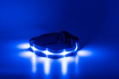 limaya LED svietiaci obojok pre psov Blue - white thin strip M (33 cm - 50 cm)