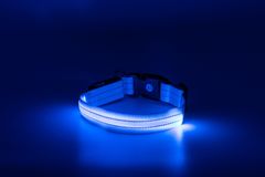limaya LED svietiaci obojok pre psov Reflex Blue L (48 cm - 60 cm)