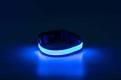 limaya LED svietiaci obojok pre psov Blue - white strip M (33 cm - 50 cm)