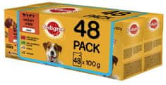 Vital Protection kapsičky masový výber v želé pre dospelých psov 48 x 100g