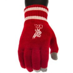 Fan-shop Dětské rukavice LIVERPOOL FC Knitted red