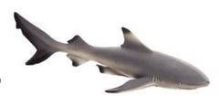 Mojo Fun figúrka Žralok čierny