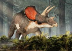 mapcards.net 3D pohľadnica Triceratops, MCN34 (Natural History, Dinosauri)