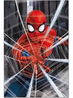 Plagát Spider-Man - Gotcha
