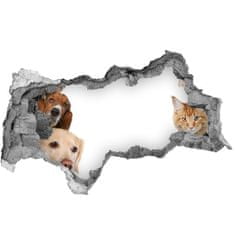 Wallmuralia.sk Diera 3D fototapeta na stenu Psy a mačky 115x88 cm