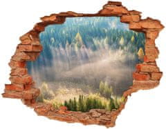 Wallmuralia.sk 24D diera na stenu Hmla v lese 148x115 cm
