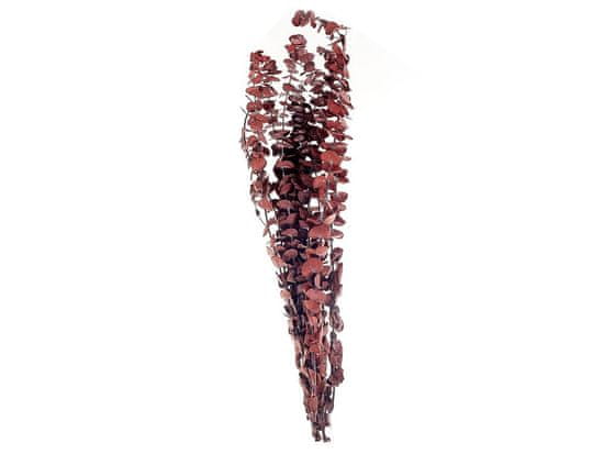Beliani Kytica sušených kvetov 56 cm tmavočervená BADAJOZ