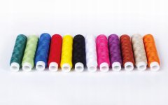 Kaps Pasmanta plastový box univerzálnych nití pre domáce použitie 12 farieb