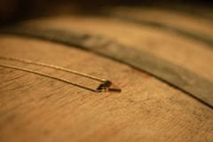 BeWooden dámsky náhrdelník s dreveným detailom zo suda na víno White Wine Silver Necklace univerzálna