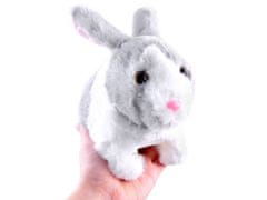 JOKOMISIADA Interaktívny králik ZA2685