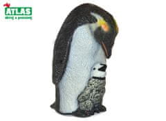 A - Tučniak a mláďa 6 cm