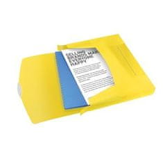 Esselte box na dokumenty VIVIDA, 40 mm, žltá