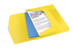 Esselte box na dokumenty VIVIDA, 40 mm, žltá