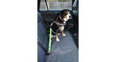 Merco Safer 1.0 pás do auta pre psov, zelená