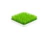 Boon odkapávač trávník malý zelená