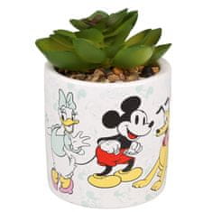 Disney Mickey Mouse and friends Umelý kvet, šťavnatý v črepníku 