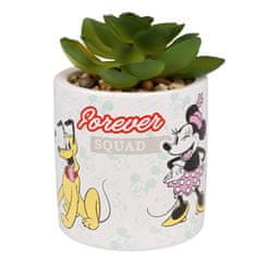 Disney Mickey Mouse and friends Umelý kvet, šťavnatý v črepníku 