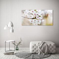 Wallmuralia.sk Foto obraz akrylový na stenu Kvety višne 120x60 cm 2 prívesky