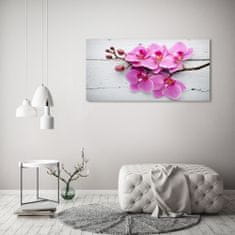 Wallmuralia.sk Foto obraz akrylové sklo Orchidea a na strome 100x50 cm 2 prívesky