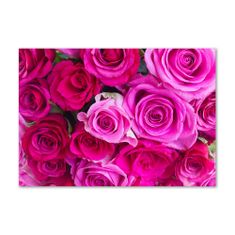 Wallmuralia.sk Foto obraz akrylové sklo Kytica ružových ruží 100x50 cm 2 prívesky
