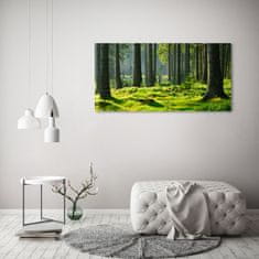 Wallmuralia.sk Foto obraz akrylové sklo Smrekový les 100x70 cm 2 prívesky
