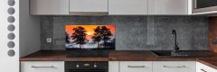 Wallmuralia.sk Panel do kuchyne Západ slnka les 100x50 cm