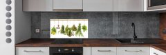 Wallmuralia.sk Panel do kuchyne Bylina na povrázku 140x70 cm