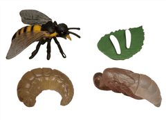 Animal Life figúrky životný cyklus Včela