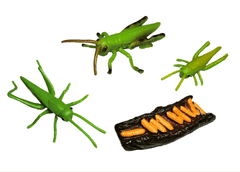 Animal Life figúrky životný cyklus Kobylka zelená