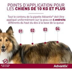 Advantix ADVANTIX 4, Pre veľmi veľké psy od 40 do 60 kg, 4 x 6 ml