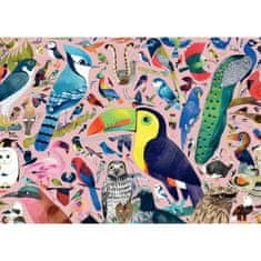 Ravensburger Ravensburger, Puzzle 1000 prvkov, Mimoriadne vtáky / Matt Sewell