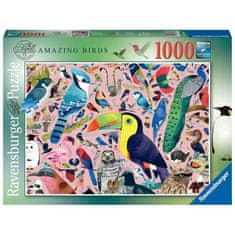 Ravensburger Ravensburger, Puzzle 1000 prvkov, Mimoriadne vtáky / Matt Sewell