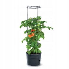 Prosperplast Kvetináč na pestovanie paradajok s oporou 28l