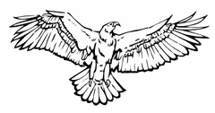 Traiva Silueta orla s roztiahnutými krídlami, proti narážaniu vtákov do okien - černobílá Samolepka inverzní 210 x 297 mm (A4) tl. 0.1 mm - Kód: 03017