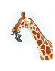Safari Ltd. Žirafa sieťovaná