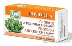 Fytopharma Fyto Pharma Rhodiola pri strese a bolestiach hlavy 30 cps