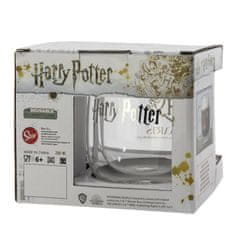 Alum online Dvojstenný sklenený hrnček 290 ml Harry Potter