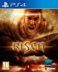 THQ Nordic Risan (PS4)