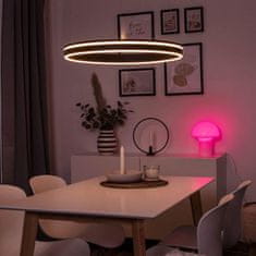 PAUL NEUHAUS PAUL NEUHAUS Q-VITO, LED závesné svietidlo, Smart Home, priemer 59cm ZigBee 2700-5000K PN 8411-13