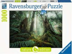 Ravensburger Puzzle V lese 1000 dielikov