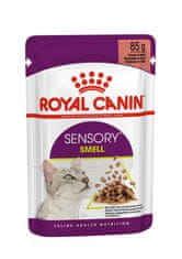 Royal Canin Senzorické krmivo Vôňa omáčky 12x85g