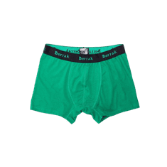 BERRAK Zelené pánske boxerky BR-BK-4476.28P_353309 S