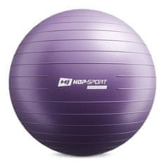 Hs Hop-Sport Gymnastická lopta s pumpou 75cm - fialová