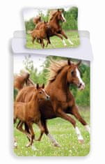 Jerry Fabrics Obliečky fototlač Horse 04 140x200, 70x90 cm