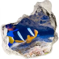 Wallmuralia.sk 3D diera na stenu Tropická ryba 75x75 cm