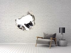 Wallmuralia.sk 3D diera na stenu Domáce zvieratá 125x125 cm