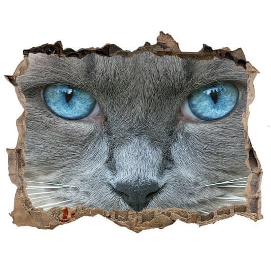 Wallmuralia.sk Díra 3D fototapeta na stěnu Mačacie modré oči 95x64 cm