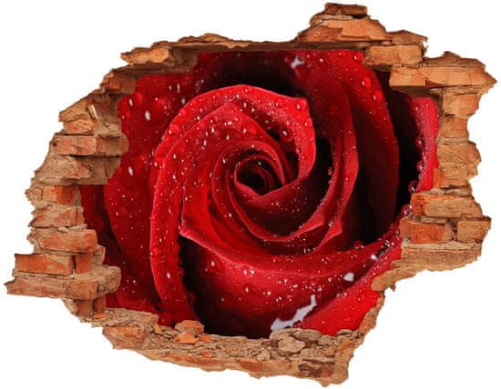 Wallmuralia.sk 13D diera na stenu Kvapky na ruže