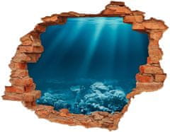 Wallmuralia.sk 25D diera na stenu Podvodný svet 148x115 cm